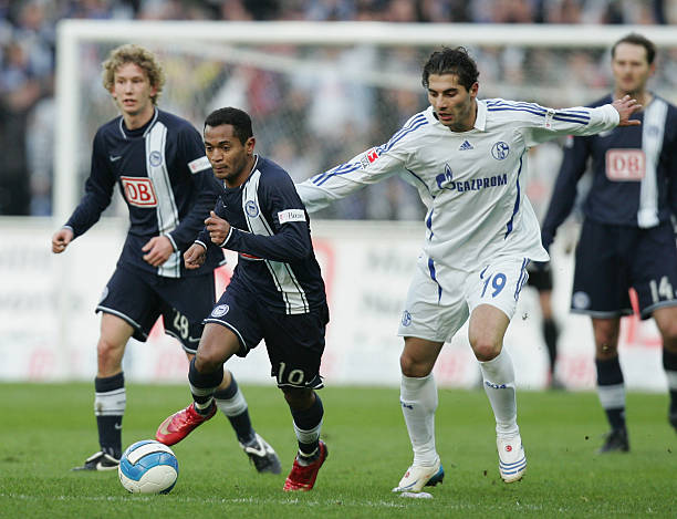 都将成为本 都将成为本